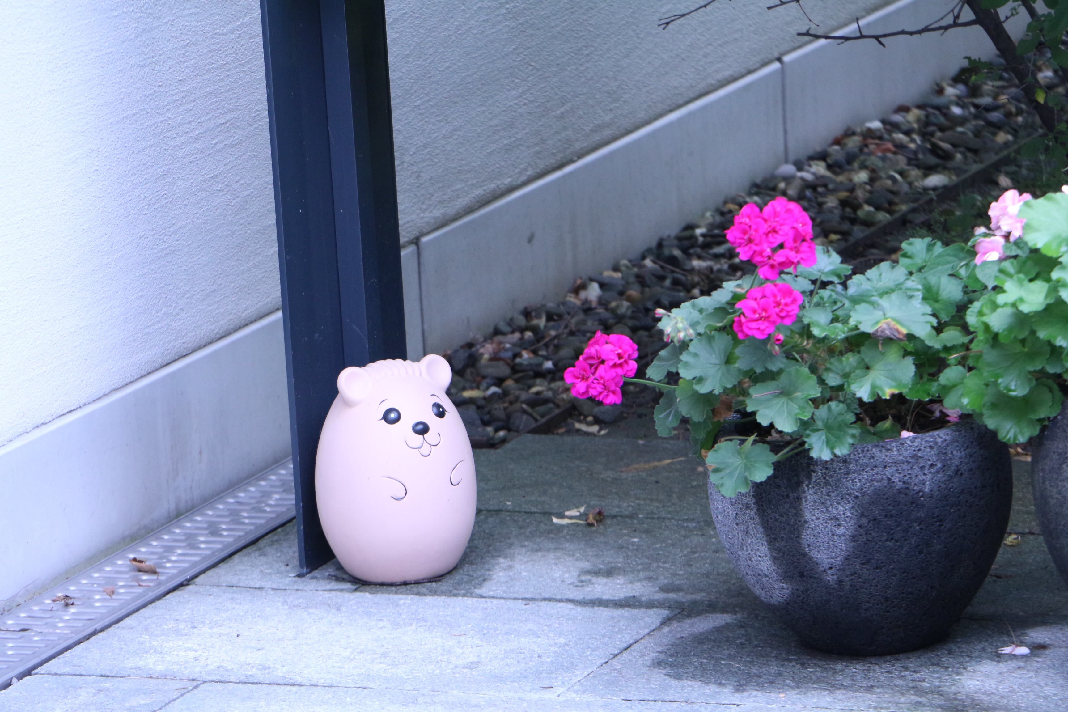 チューリッヒ~トリーゼンへ 天の邪鬼 楽天ブログ