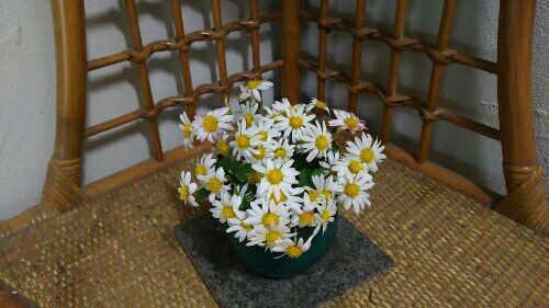 rblog-20171211200031-03.jpg