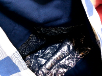 rblog-20131005073307-00.png