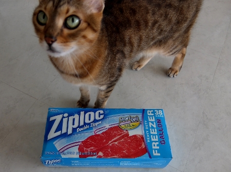 コストコ　フリーザーバック　ガロン