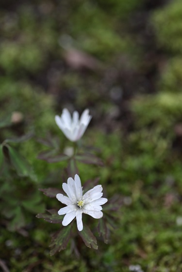 IMG_3160.JPG