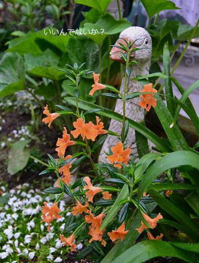 DSC_0275.JPG