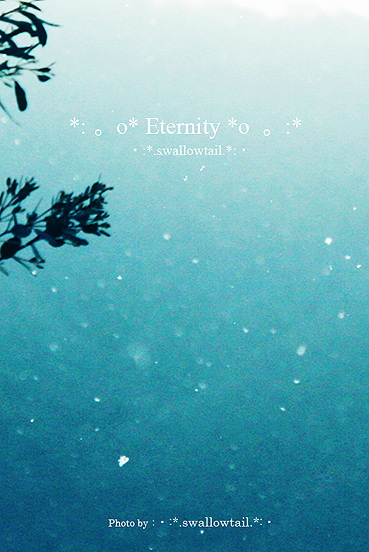 Photo by swallowtail　C.jpg