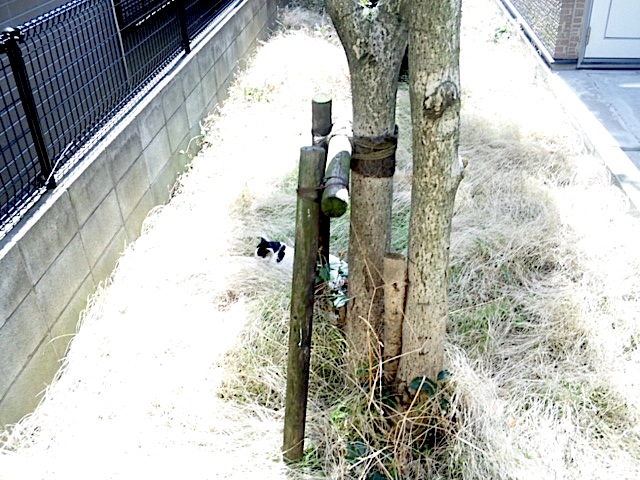 120402_095055.jpg