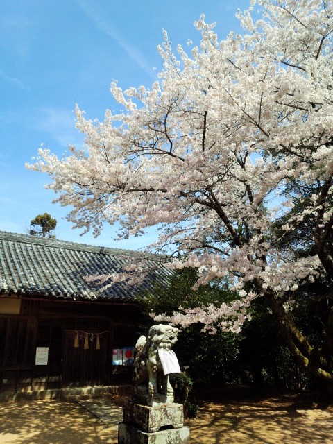 八倉日姫神社1 (2).jpg