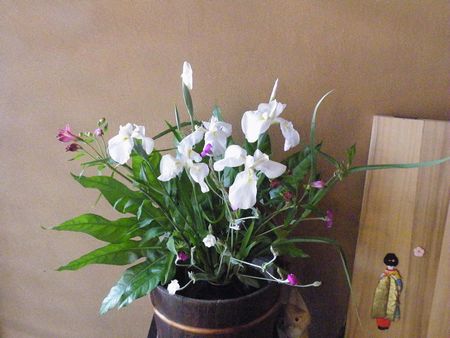 DSCF8016-450.jpg