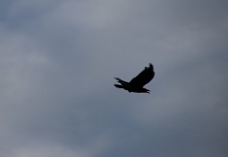 E7D_9181-2.jpg