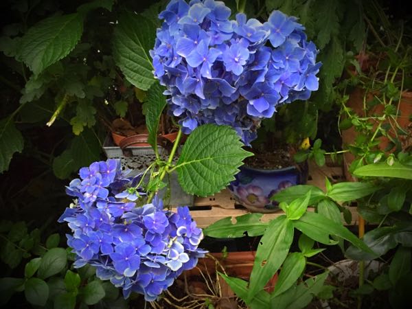rblog-20160627210033-04.jpg