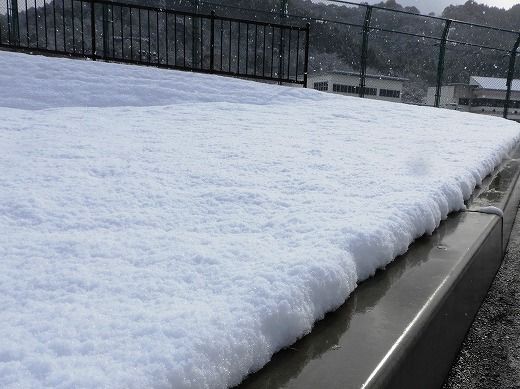 本日の武雄は雪ではじまりました 競輪学校合格発表 44 ぽんスポ 笑顔の応援 楽天ブログ