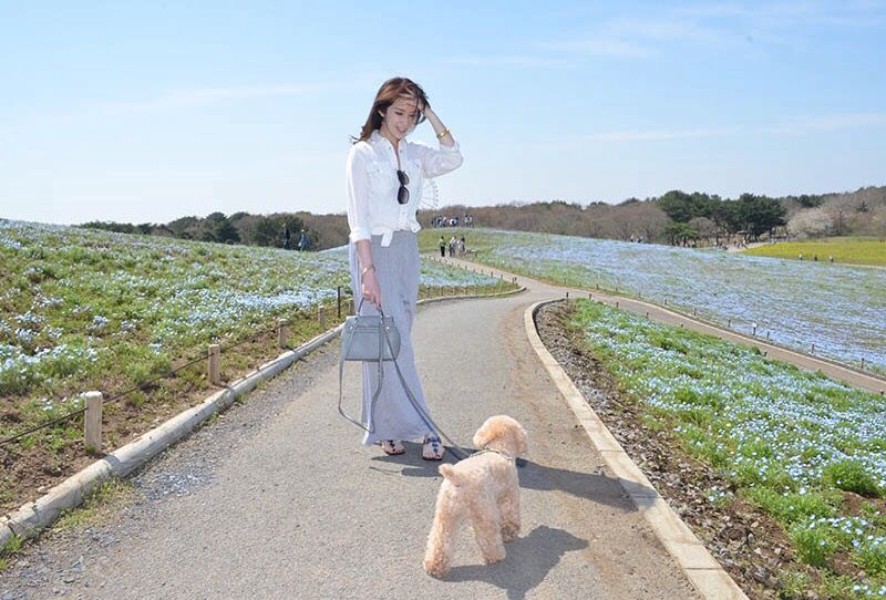 茨城へ犬連れドライブ ひたち海浜公園へ Hard Life 楽天ブログ