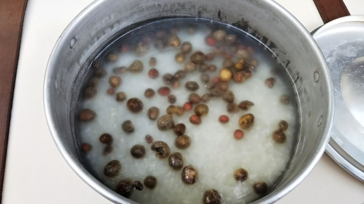 5ページ目の記事一覧 みみずの部屋 楽天ブログ