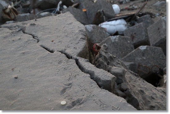 普正寺海岸-27 15.12.9