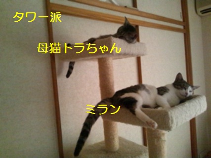 20120729_2.jpg