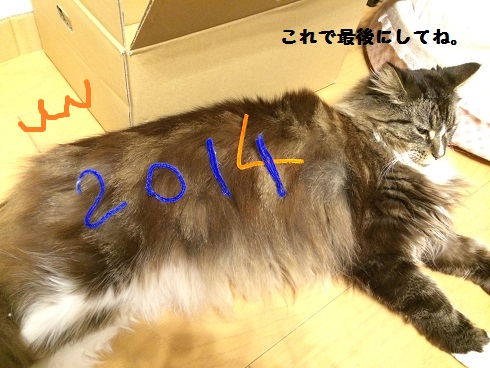 ナイル