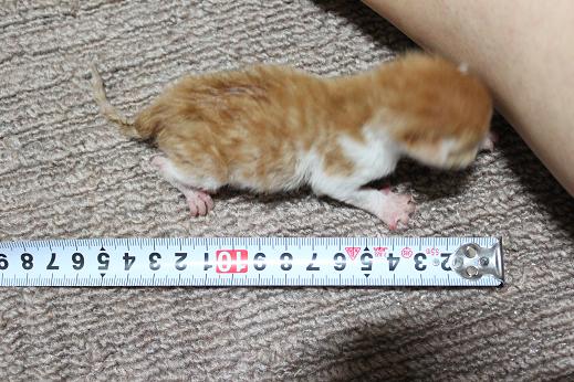 IMG_2773 - コピー.JPG