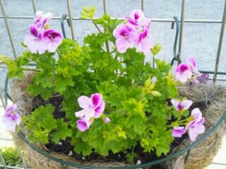 rblog-20140320093425-01.jpg