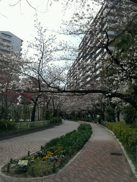 お花4.jpg