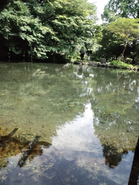 ML_CA3F00080002.jpg