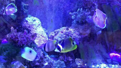 rblog-20180408190522-03.jpg