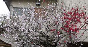 IMG_8282-3.jpg
