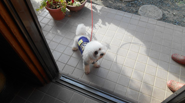 DSCN1112.jpg