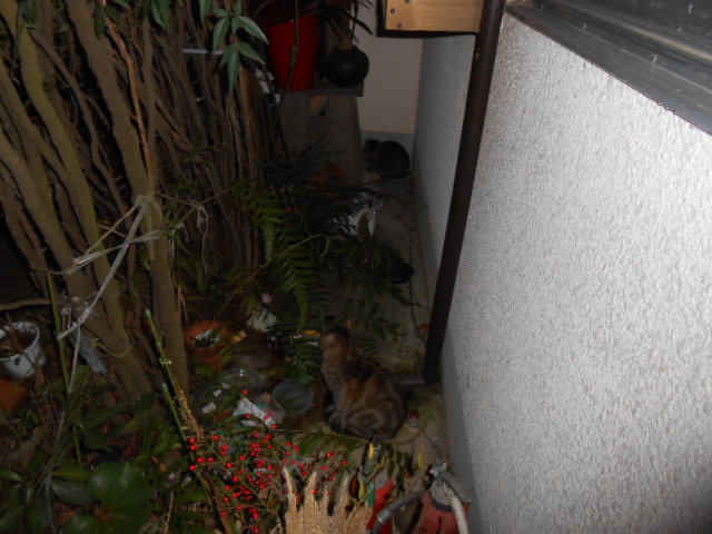 DSCN0767.JPG