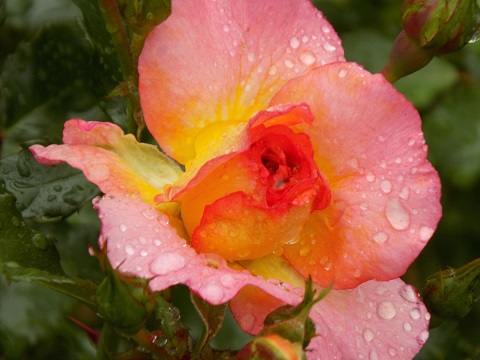 DSCN0483.JPG
