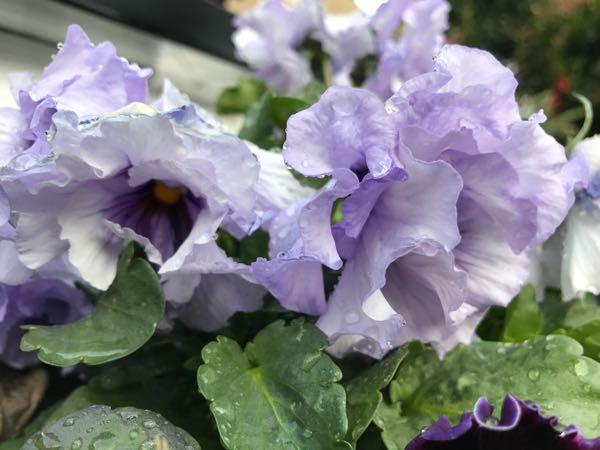 rblog-20170223222527-03.jpg