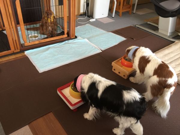rblog-20160406100354-01.jpg