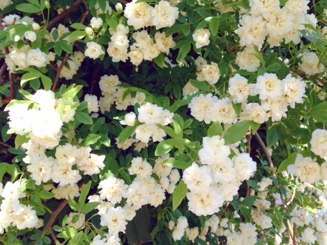 rblog-20130503150145-02.jpg