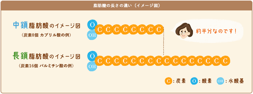about_mct_shibousan_02.png