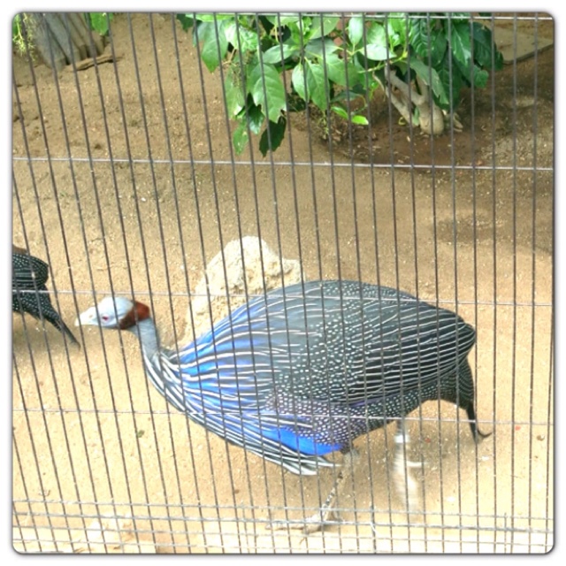 rblog-20130503183043-01.jpg