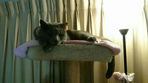 rblog-20161007085429-02.jpg