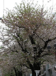 IMG_8360-9.jpg