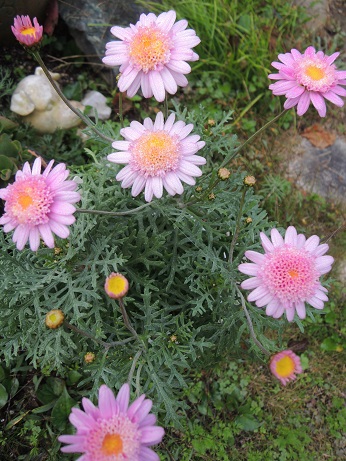 DSCN6570.JPG