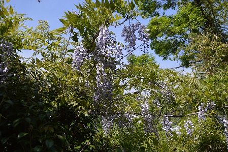 DSC_0110.jpg