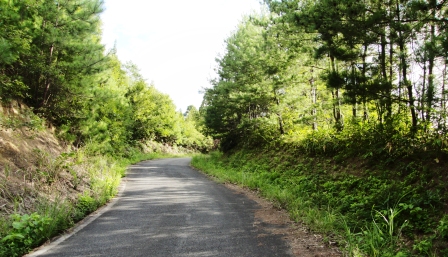 林道
