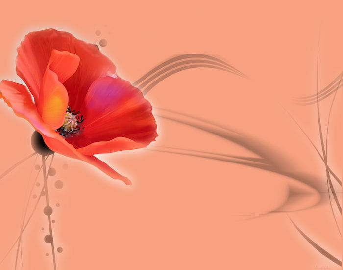 flor p laranja.jpg