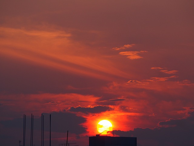 P6210524.jpg