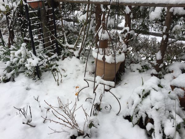 rblog-20170115182743-01.jpg