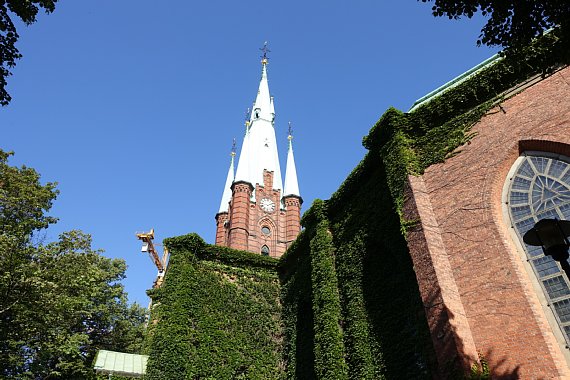 DSC03096rtw.jpg