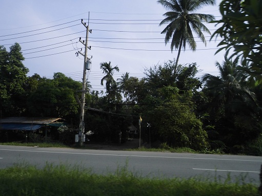 CIMG0388.JPG
