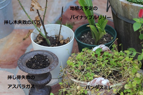 2014_0729_090416-IMG_4380.JPG