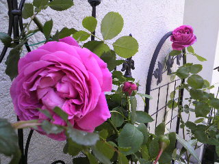 2012-04-20 10:17:53