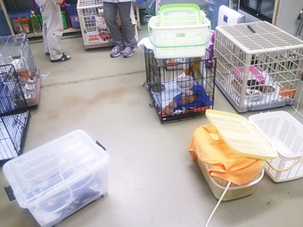 20130612a.jpg