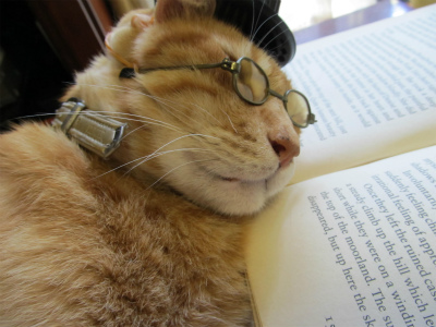 眠たくなってきた