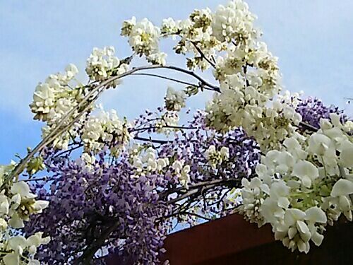 rblog-20170423111910-01.jpg