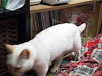 20160118215952_p.jpg