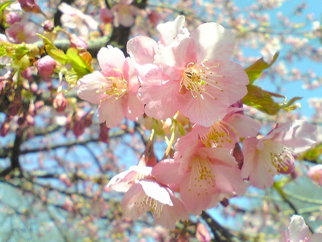 代々木公園0321-3
