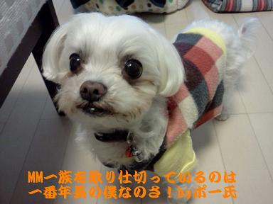 IMG01012_1.jpg